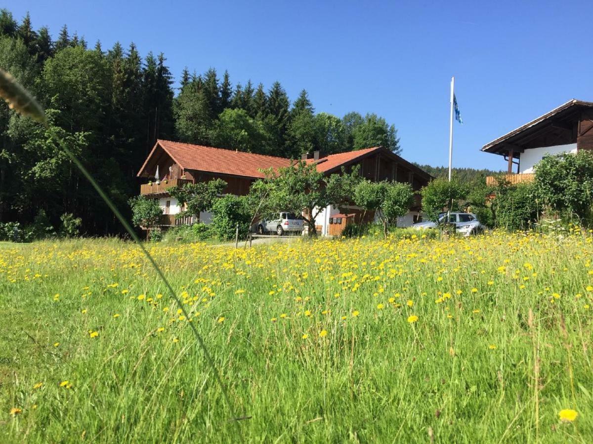 Ferienwohnung Hubertus Bischofsmais Exterior foto